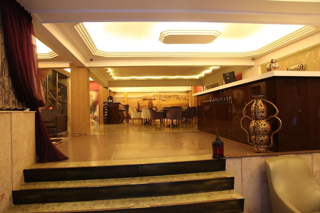 Hotel Lucid